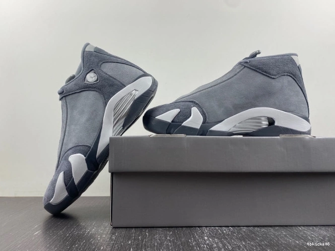 Reps TBkick Flint Grey FJ3460-012 Air 14 Jordan 0718